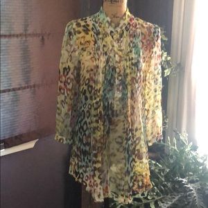 Multi color leopard sheer top.